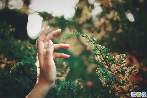 關(guān)于愛情簡單精辟的一句話說說帶圖片 我和世界只差一個(gè)你2