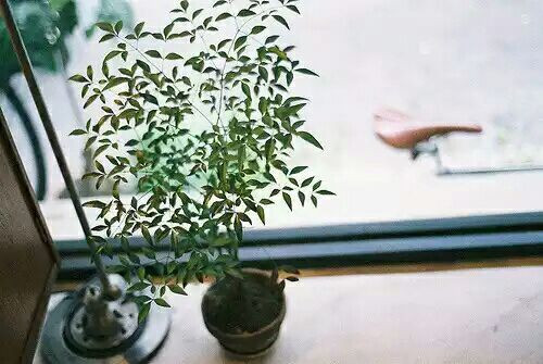 讓人難過傷感愛情說說帶圖片 差一點就抱住他了我再睡一會兒試試8