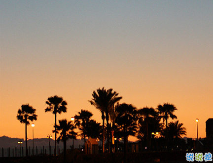 簡(jiǎn)短的帶唯美的說活帶圖片 簡(jiǎn)單一句話說說表達(dá)心中的情感15