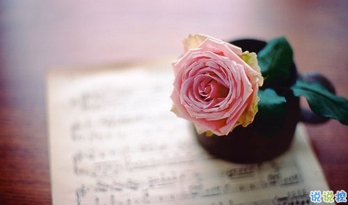 2019白色情人節(jié)表白的話合集 314白色情人節(jié)最動聽真實表白句子1