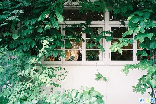 一個人獨處時候的孤獨是什么感覺呢？6