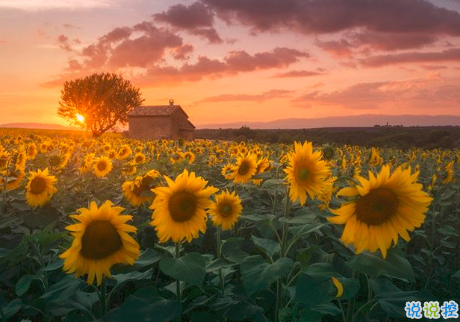 很扎心但很有道理的勵志說說帶圖片 激勵人心的很現(xiàn)實(shí)的一句話說說5