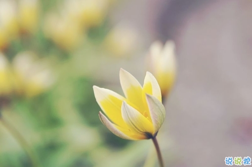 2019二月再見三月你好說說經典勵志 三月你好微信早安句子2