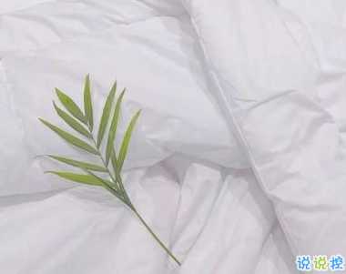 描寫春天的唯美句子帶圖片 2019適合春天的微信說說句子13