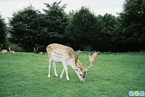 帶圖片的勵志說說人生感悟 別辜負了你的野心也別對不起你受的苦14