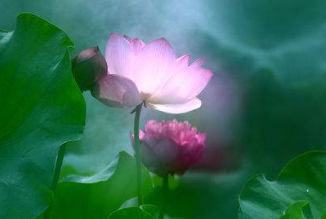 在夢(mèng)里也會(huì)潸然淚下的說說帶圖 如果時(shí)光倒流峩捫能抓得住什么10