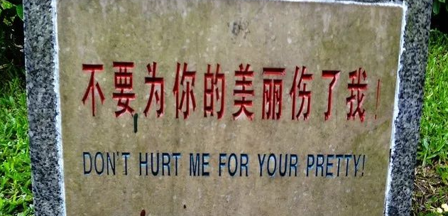 超搞笑的英語翻譯/中式翻譯說說帶圖片5