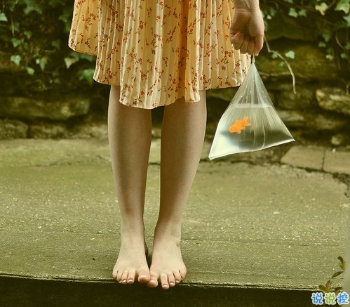 顧城詩一般的句子關于人生的經(jīng)典語錄 唯美文藝的句子顧城經(jīng)典語錄大全2