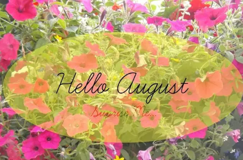 再見(jiàn)七月八月你好圖片說(shuō)說(shuō)2018最新版 唯美好聽的八月你好說(shuō)說(shuō)配圖1