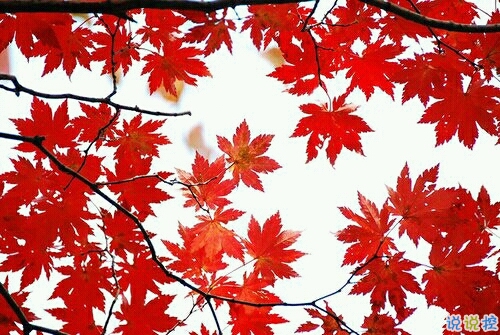 獨一無二男生霸氣說說2019精選 抖音最火男生超拽說說帶圖片12