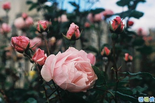 女生霸氣說說很犀利毒舌 一句話朋友圈霸氣說說1