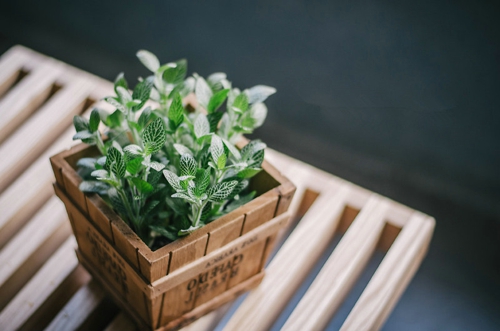 2019四月朋友圈小清新句子帶圖片 四月你好淡淡的陽(yáng)光淡淡的風(fēng)9