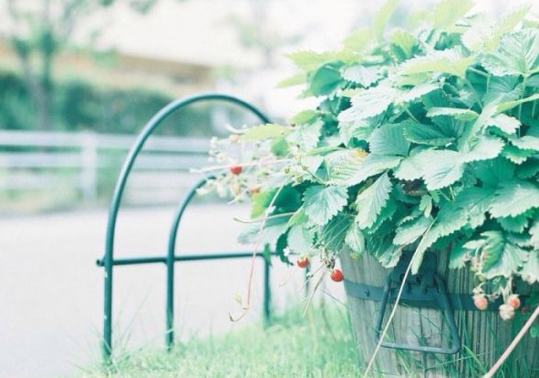 電影電視劇中會(huì)出現(xiàn)的唯美經(jīng)典的韓文說(shuō)說(shuō)15