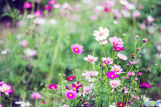 很精辟人生感悟的句子和圖片 寫人生感悟的句子帶圖片20187