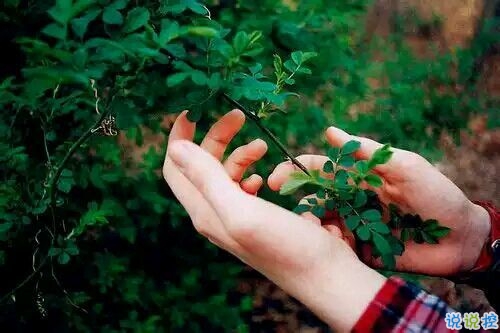 有點(diǎn)傷感的愛情說說帶圖片 失去一個(gè)人后是什么感覺 10