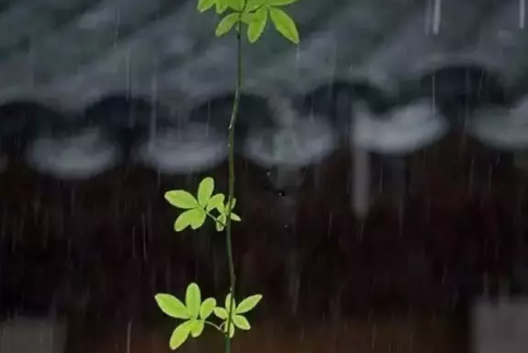 再見(jiàn)七月八月你好圖片說(shuō)說(shuō)2018最新版 唯美好聽的八月你好說(shuō)說(shuō)配圖2