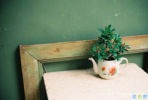 2019清明節(jié)祭奠親人的說說短句 祈禱天堂的親人們幸?？鞓?