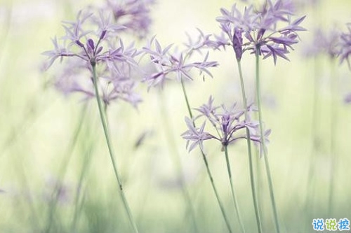 00后暗戀同桌的微信說說帶圖片 寫給暗戀同桌的話10