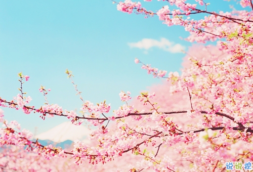 2019年抖音個(gè)性說說大全 非常有意思的個(gè)性說說帶圖片9