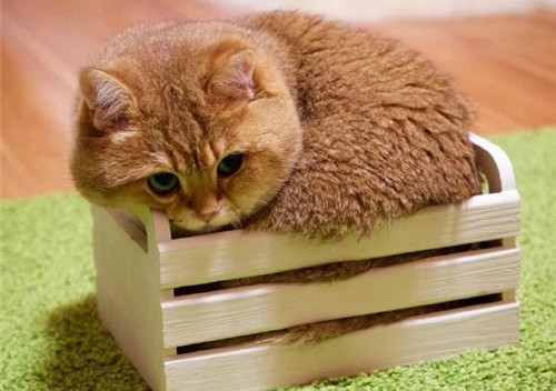 可以戳中中你笑點的搞笑說說帶圖片1