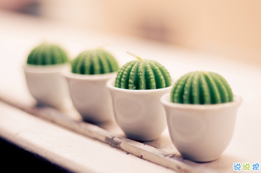 超暖心的朋友圈勵(lì)志說(shuō)說(shuō)帶圖片 致所有人的勵(lì)志說(shuō)說(shuō)值得收藏2