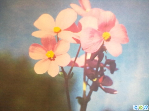 個(gè)人最欣賞的古詩(shī)詞合集 唯美古詩(shī)詞說(shuō)說(shuō)心情短語(yǔ)2