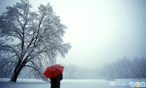 2019微信朋友圈個(gè)性說(shuō)說(shuō)配圖 手機(jī)有電錢(qián)包有錢(qián)比什么都好11