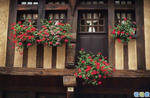 2019春分適合發(fā)朋友圈的說說句子帶圖片 今日春分早安經(jīng)典說說2