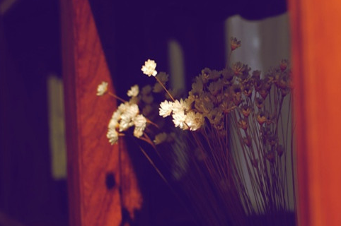 致自己的加油說說：勇于開始，才能找到成功的路。2