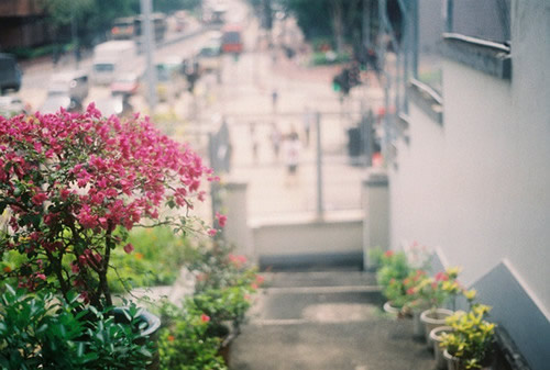 關(guān)于生活的有點(diǎn)傷感但很現(xiàn)實(shí)的圖片說(shuō)說(shuō) 哭也不會(huì)改變什么這個(gè)世界從來(lái)不會(huì)對(duì)任何人溫柔14