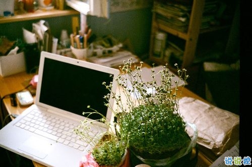 只想說給你聽的小情話帶圖片 你笑時(shí)雷聲溫柔暴雨無聲5