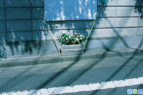 人生很現(xiàn)實(shí)經(jīng)典勵(lì)志圖片說(shuō)說(shuō) 人的一生難免有起伏15