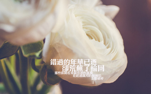 朋友圈用歌詞表達(dá)心情的傷感說(shuō)說(shuō) 歌曲表達(dá)傷感心情說(shuō)說(shuō)配圖12