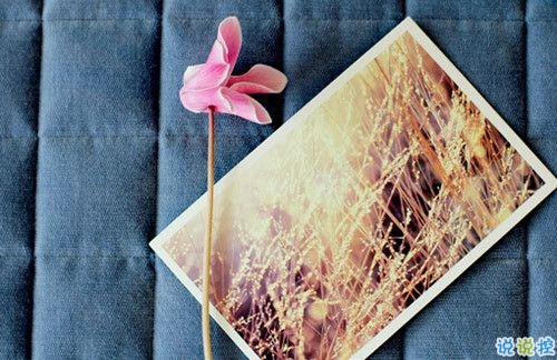 美好愛情說說心情短語 經典愛情語錄甜甜蜜蜜2