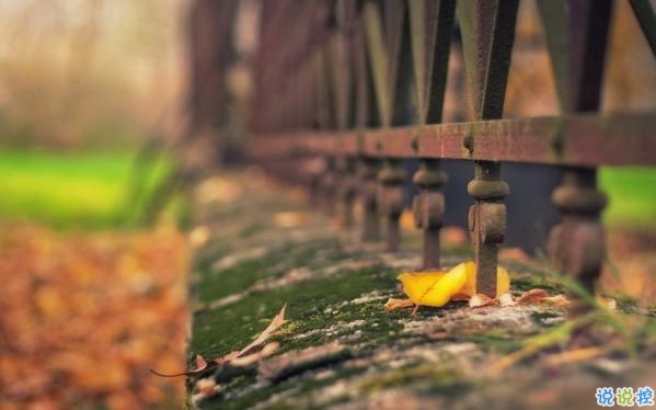 心里甜蜜蜜的愛情說說帶圖片 愛情說說一輩子只愛你11