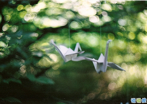 七夕寫給喜歡的人的告白說說 情人節(jié)七夕表白的經(jīng)典愛情說說大全2