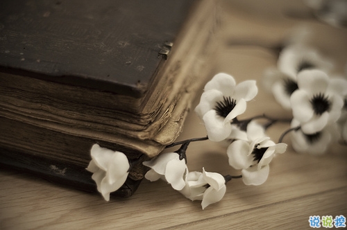 關(guān)于人生感悟很經(jīng)典的哲理說(shuō)說(shuō)帶圖片 從生活中明白的一些感悟說(shuō)說(shuō)4