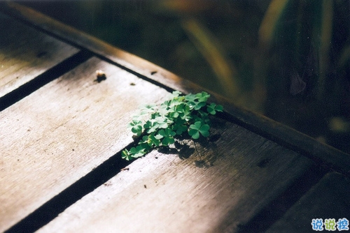 寫(xiě)給自己的霸氣一段話個(gè)性說(shuō)說(shuō) 致自己的霸氣超拽勵(lì)志個(gè)性說(shuō)說(shuō)1