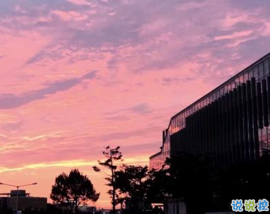 描寫春天的唯美句子帶圖片 2019適合春天的微信說說句子10