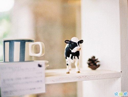 看透愛情的悲傷說說心痛分手帶圖片 開始很感動(dòng)過程很精彩結(jié)局不想說12