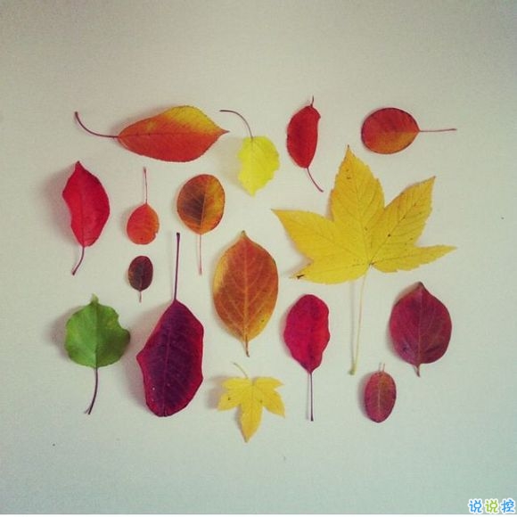 戀愛時(shí)的甜蜜小情話溫柔的句子帶圖片 我奔向你就像奔向未來11