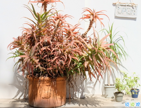 小清新文藝愛(ài)情個(gè)性說(shuō)說(shuō) 傻傻愛(ài)一個(gè)人的唯美說(shuō)說(shuō)2