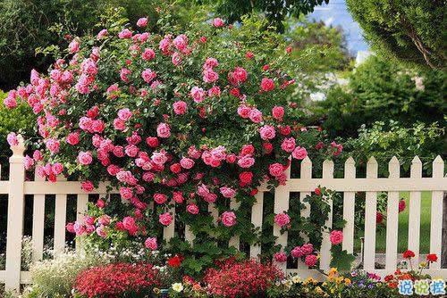 2019春分適合發(fā)朋友圈的說說句子帶圖片 今日春分早安經(jīng)典說說3