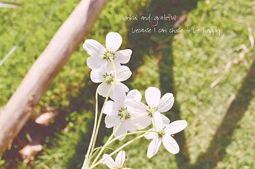 優(yōu)美說(shuō)說(shuō)唯美的句子配圖：海底月是天上月，只是鏡花水月9