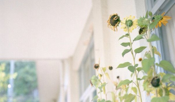 電影電視劇中會(huì)出現(xiàn)的唯美經(jīng)典的韓文說(shuō)說(shuō)10