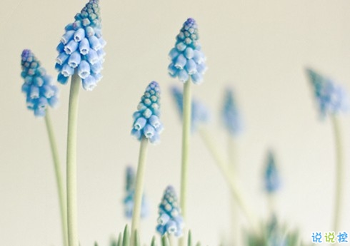 朋友圈個性說說2019最火爆的帶圖片 對我好的人請放心不會把你弄丟的14