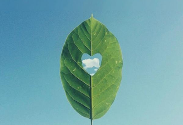 關(guān)于人生的超勵(lì)志正能量圖片說(shuō)說(shuō) 你優(yōu)秀了自然有對(duì)的人與你并肩10