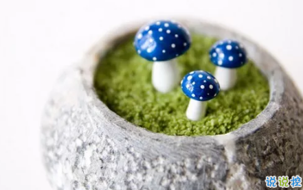 送給自己的話勵(lì)志簡短2018最新版 送給自己的話經(jīng)典簡短2