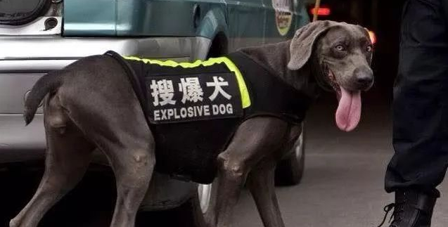 超搞笑的英語翻譯/中式翻譯說說帶圖片3