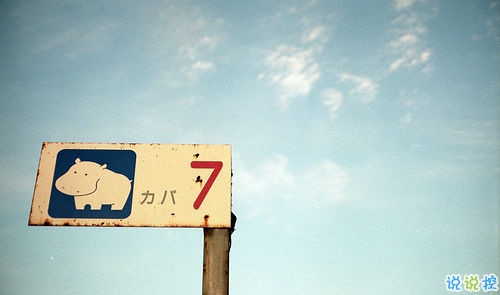 向女朋友求婚的話真實(shí)浪漫點(diǎn) 2019求婚句子大全簡單帶圖片14